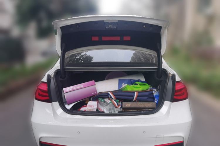 Used BMW 3 Series 2019 320Li M Sport Night Edition