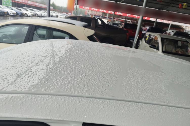 Used  Geome 2025 310km Dream Edition
