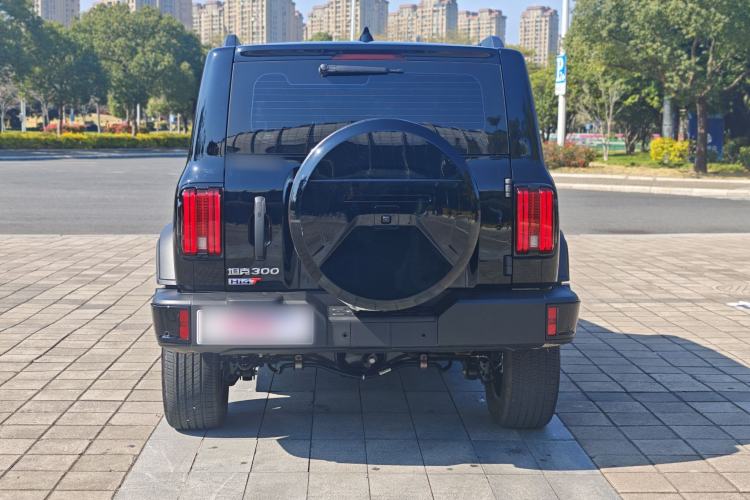 Used Tank 300 New Energy 2025 Hi4-T
