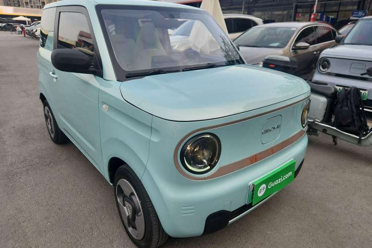 Used  Panda 2023 Panda Mini 200km Dynamic Bear
