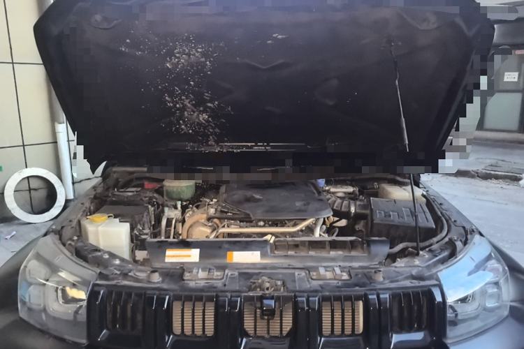 Used Beijing Auto BJ40 2021 2.0D Automatic Four-Wheel Drive Blade Hero Edition Adventurer Type