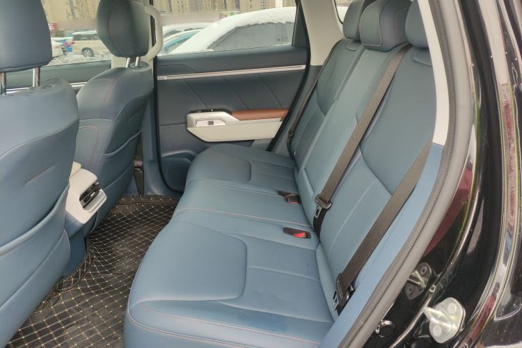 Used  G318 2024 Two-Wheel Drive Air Suspension Version