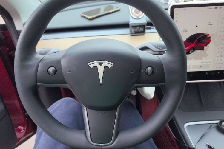 Used Tesla Model Y 2022 Revised Version Long-Range All-Wheel Drive