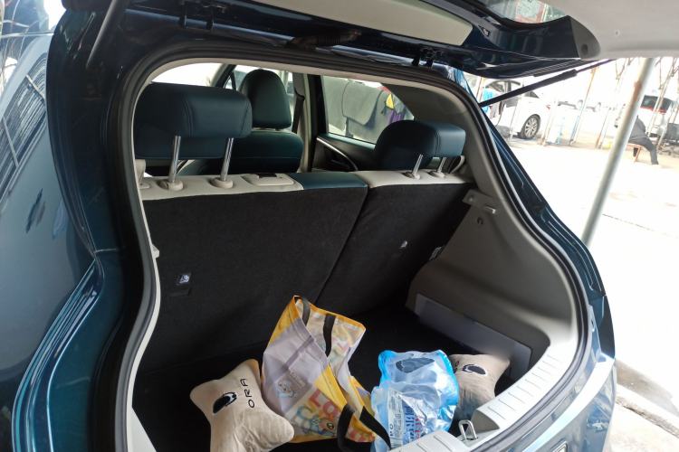 Used ORA Good Cat 2023 401 km Standard Range Luxury Version Lithium Iron Phosphate