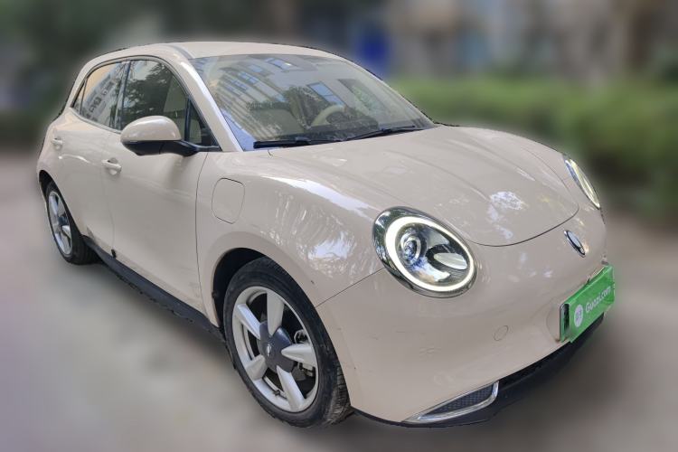 Used ORA Good Cat 2022 400km Standard Range Luxury Version Lithium Iron Phosphate
