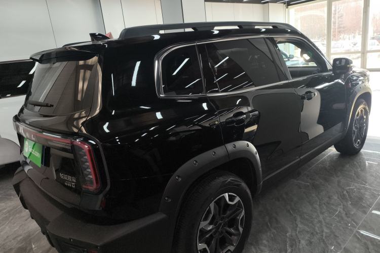 Used Haval DARGO 2024 2.0T DCT Chinese Rural Dog Edition
