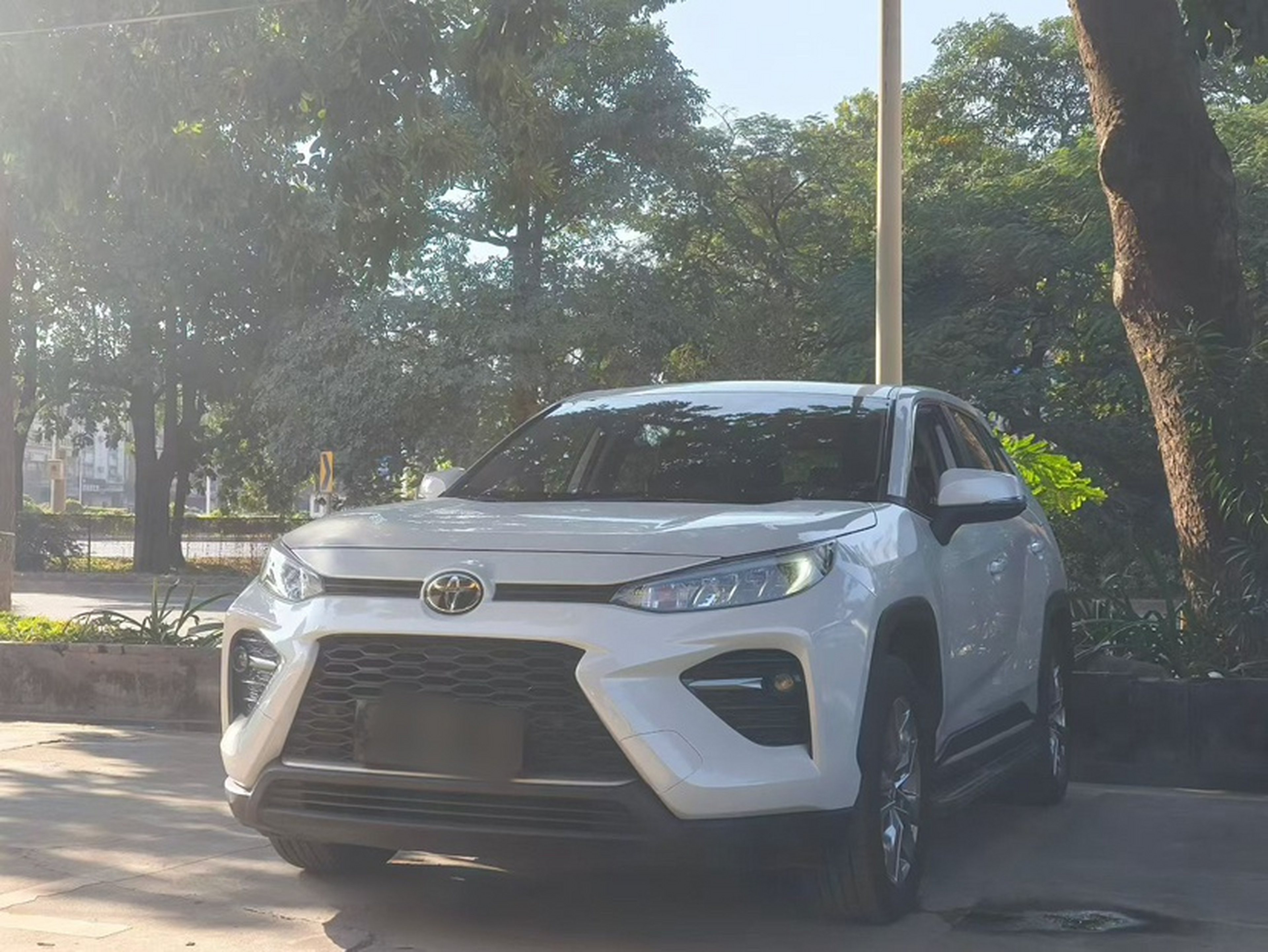 تحت مقدمة السيارة