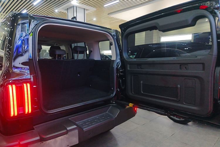 Used Tank 300 2023 City Edition 2.0T—Stylish as Ever