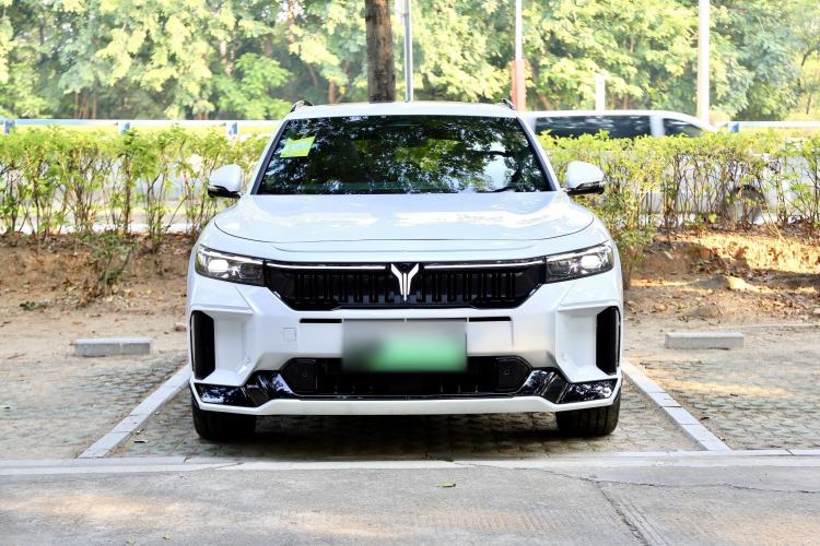 Used VOYAH FREE 2025 318 318 km Rear-Drive Touring Edition
