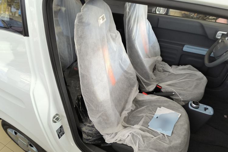 Used  Panda 2024 Panda Mini 200km Endurance Bear
