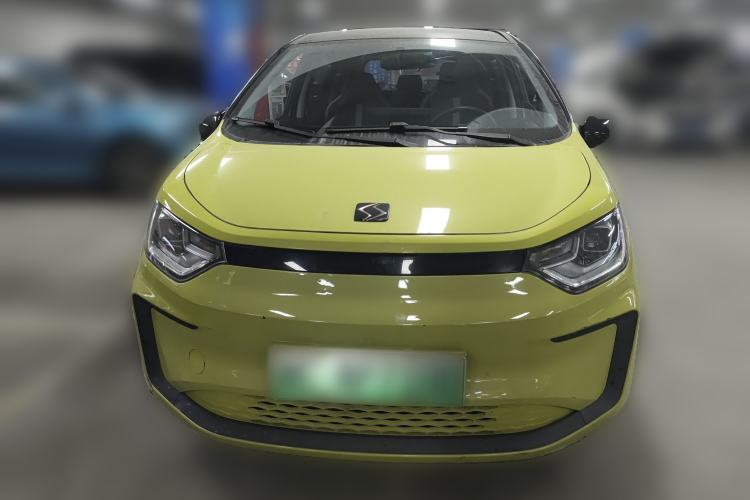 Used SOL E10X 2022 Flower Fairy Style Baby's Breath
