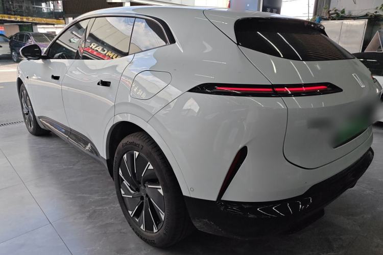 Used  07 2024 Max Extended-Range Edition
