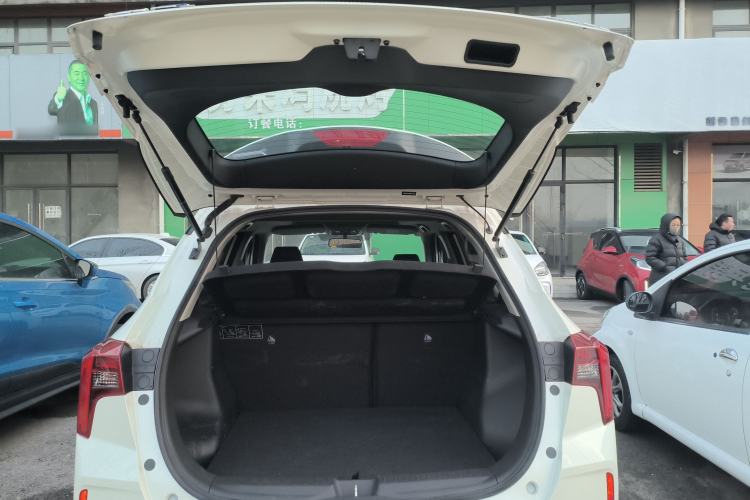 Used Venucia T60EV 2020 AI Enjoyment Model
