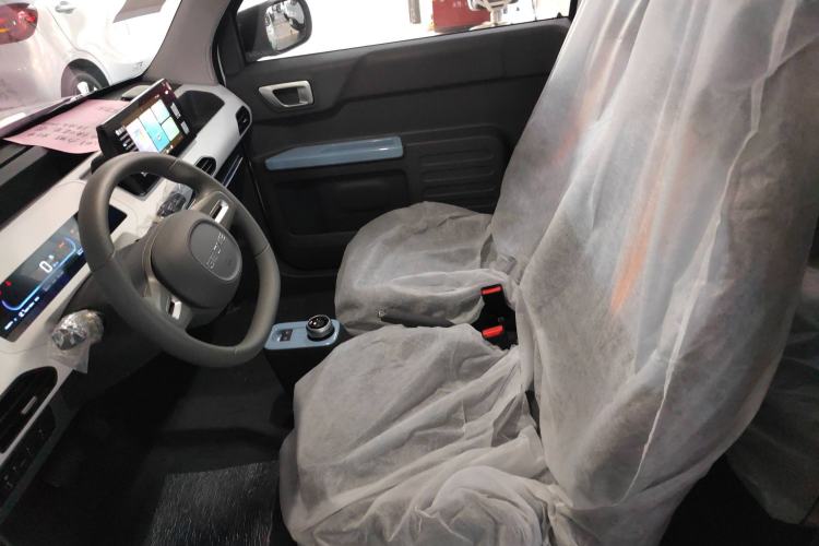 Used  Panda 2024 Panda Mini 200km Endurance Bear
