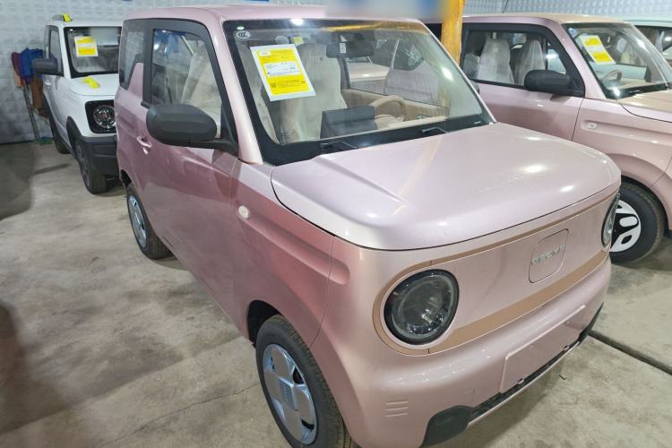 Used  Panda 2024 Panda Mini 200km Endurance Bear