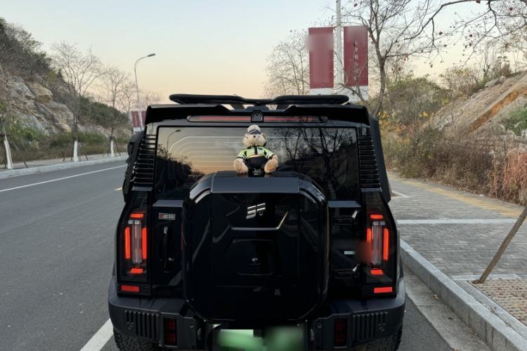 Used  Shanhai T2 2024 C-DM 129KM Linye Edition
