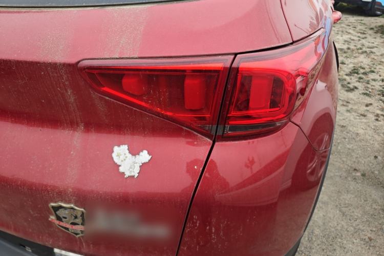 Used Chery Tiggo 7 2016 2.0L CVT YAOZHEN Edition