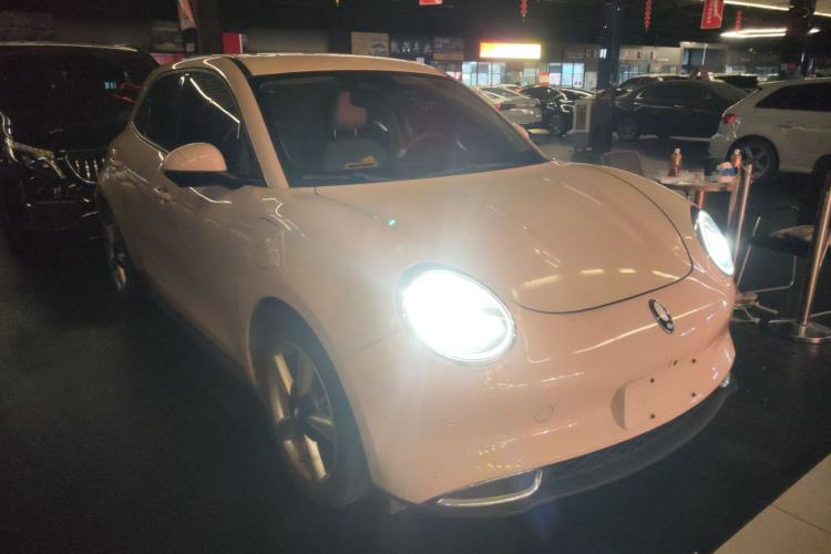 Used ORA Good Cat 2022 400km Standard Range Luxury Version Lithium Iron Phosphate