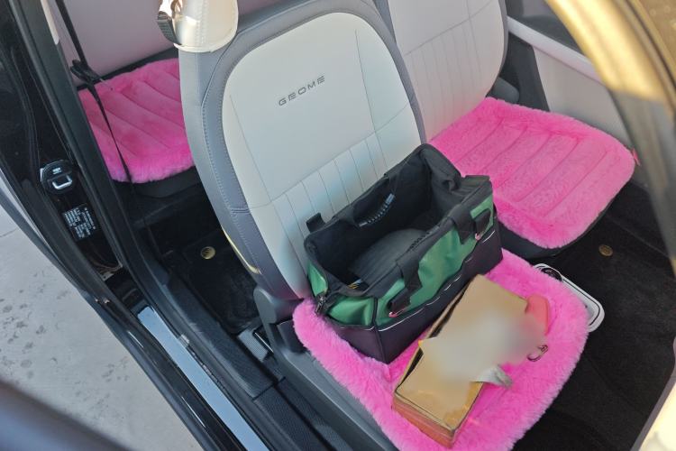 Used  Panda 2025 210km Panda Kart
