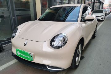 Used ORA Good Cat 2021 400km Standard Range Athena Edition Lithium-Ion Battery