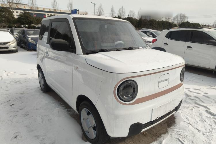 Used  Panda 2024 Panda Mini 200km Endurance Bear