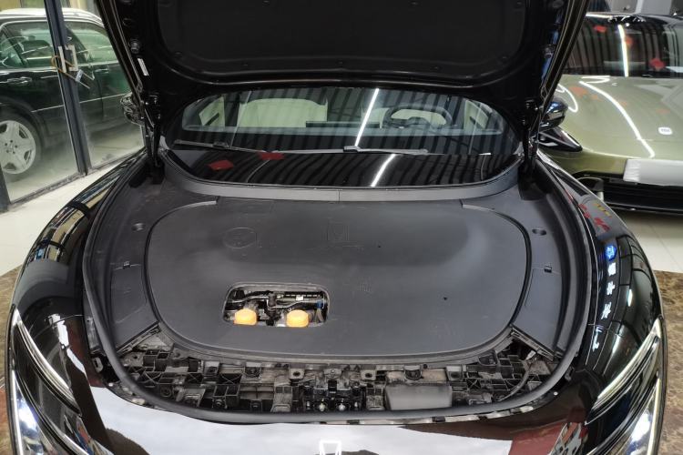 Used  06 2025 Max Extended-Range Edition
