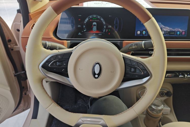 Used ORA Good Cat 2023 401 km Standard Range Premium Version Lithium Iron Phosphate
