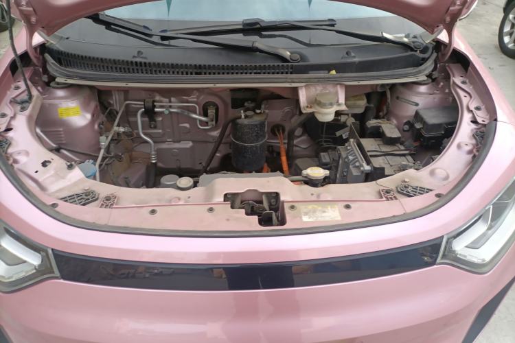 Used SOL E10X 2022 Flower Fairy Design Four-Leaf Clover
