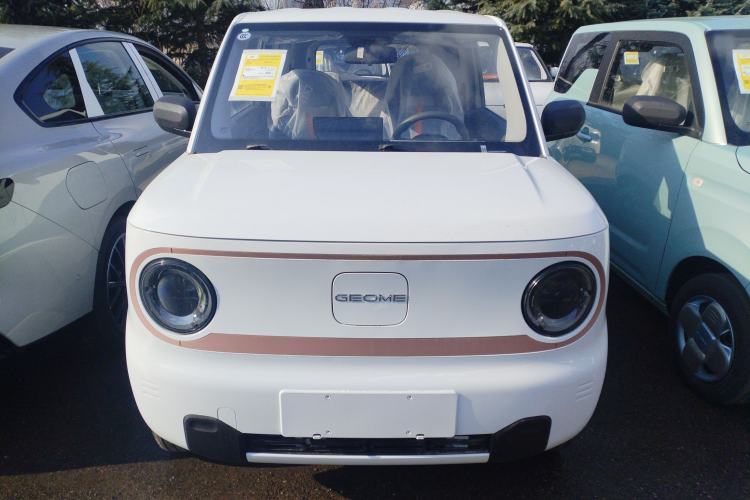 Used  Panda 2025 210 km – Yuanqi Bear