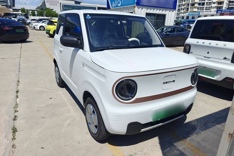 Used  Panda 2024 Panda Mini 200km Endurance Bear
