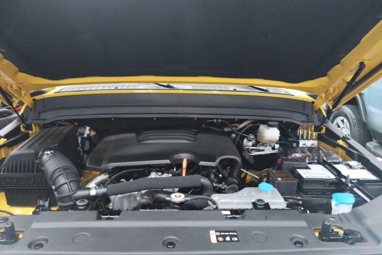 Used Tank 300 2022 2.0T Border Limited Edition
