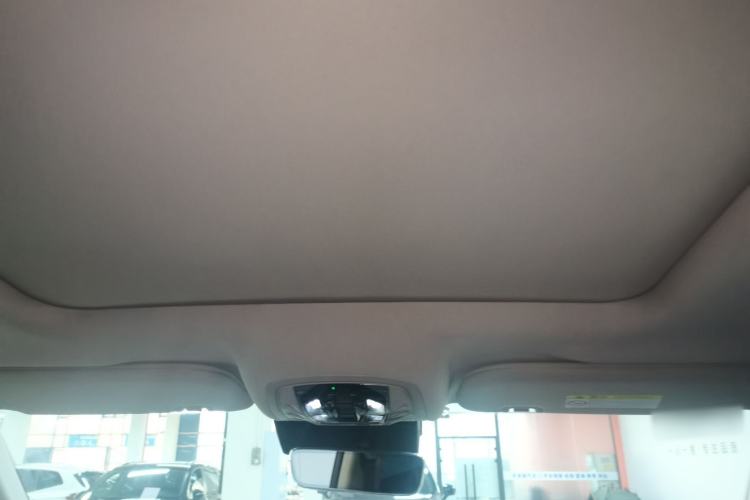 Used  Lanyue 2021 390T Two-Wheel Drive StarRui Edition
