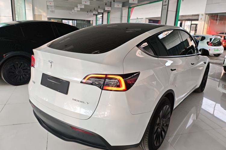 Used Tesla Model Y 2021 Standard Range Rear-Wheel Drive Version
