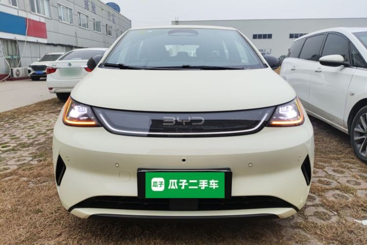 Used BYD Dolphin 2025 Smart Drive Version 420 km Freedom Edition
