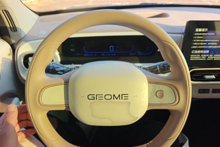 Used  Panda 2025 210 km – Yuanqi Bear
