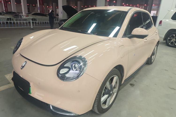 Used ORA Good Cat 2023 401 km Standard Range Luxury Version Lithium Iron Phosphate