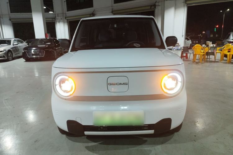 Used  Panda 2023 Panda Mini 200km Endurance Bear

