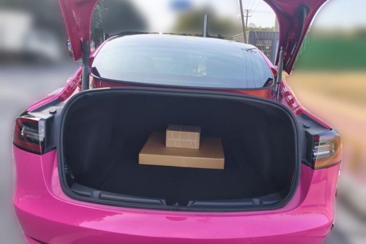 Used Tesla Model 3 2021 Performance High-Performance All-Wheel-Drive Version