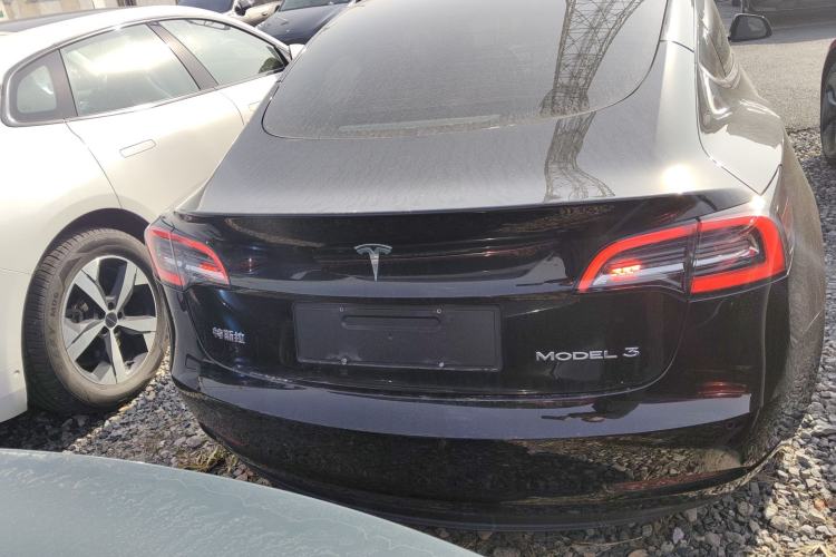 Used Tesla Model 3 2021 Standard Range Rear-Wheel Drive Upgraded Version 3D6