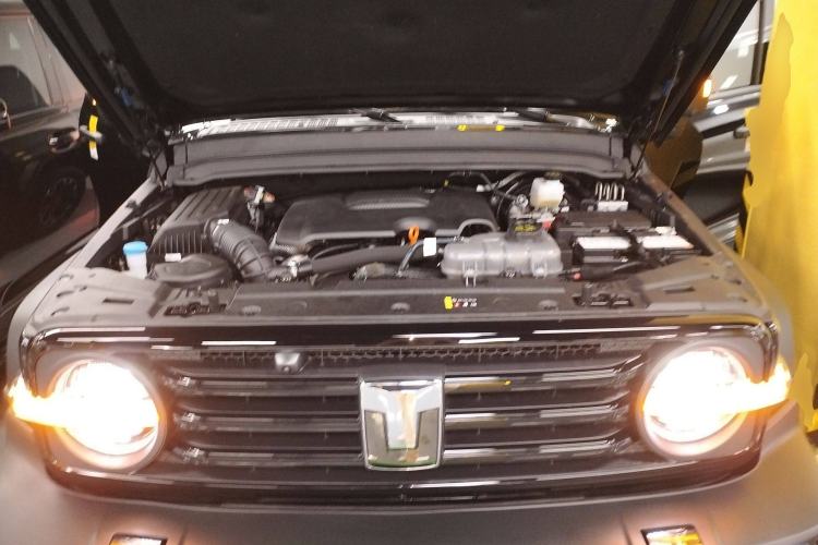 Used Tank 300 2024 2.0T Conqueror
