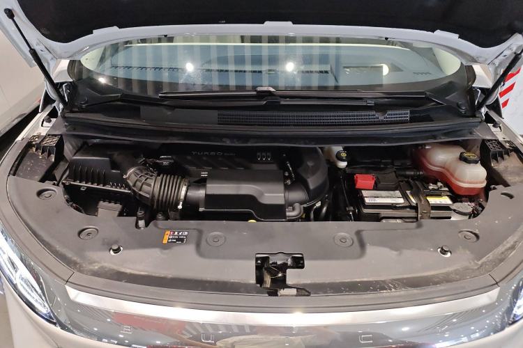 Used Buick Century 2025 2.0T Seven-Seater Yinshi Edition
