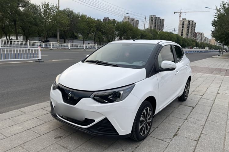 Used JMEV  2024 201km Comfort Version
