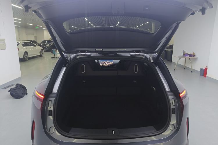 Used  07 2024 Max Extended-Range Edition