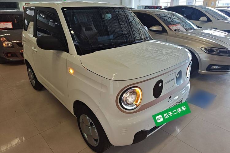 Used  Panda 2023 Panda Mini 200km Endurance Bear
