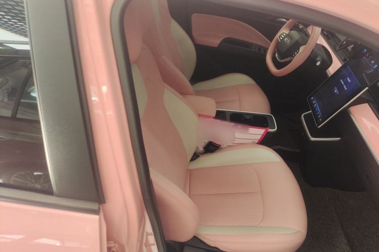 Used NETA V 2021 Witch Edition
