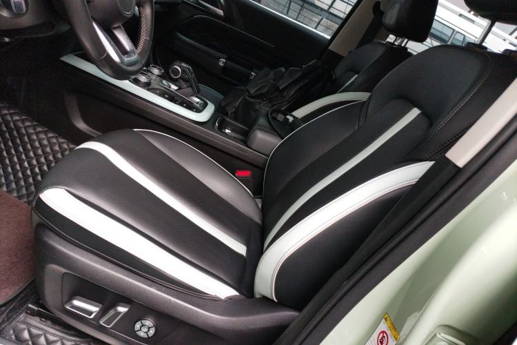 Used Tank 300 2021 City Edition 2.0T—Truly Stylish