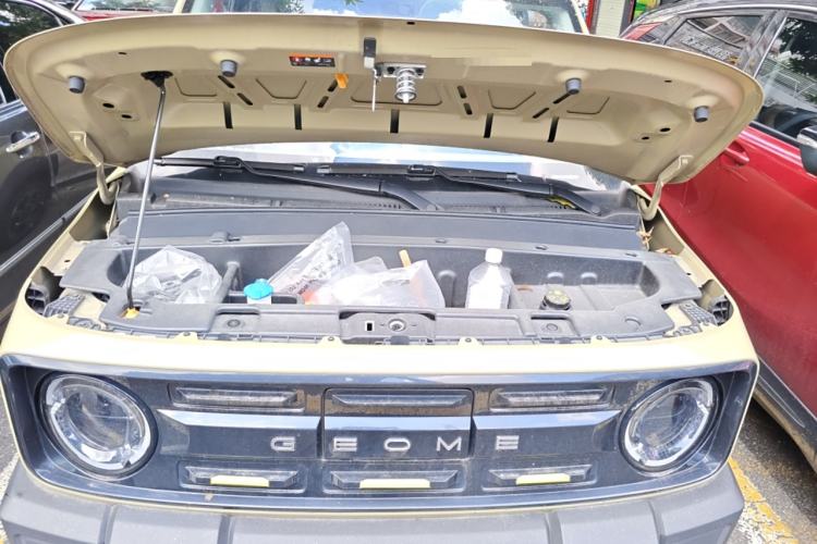 Used  Panda 2024 200km Panda Rider
