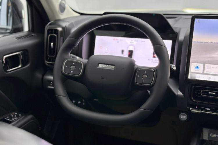 Used Haval Raptor New Energy 
