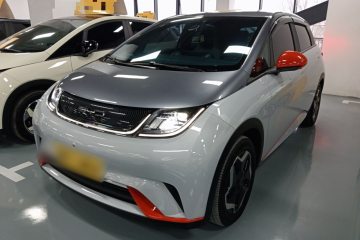 Used BYD Dolphin 2021 405 km Free Version
