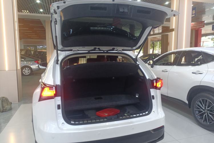 Used Lexus NX 2015 200 Front-Wheel Drive X-Trail SE Edition